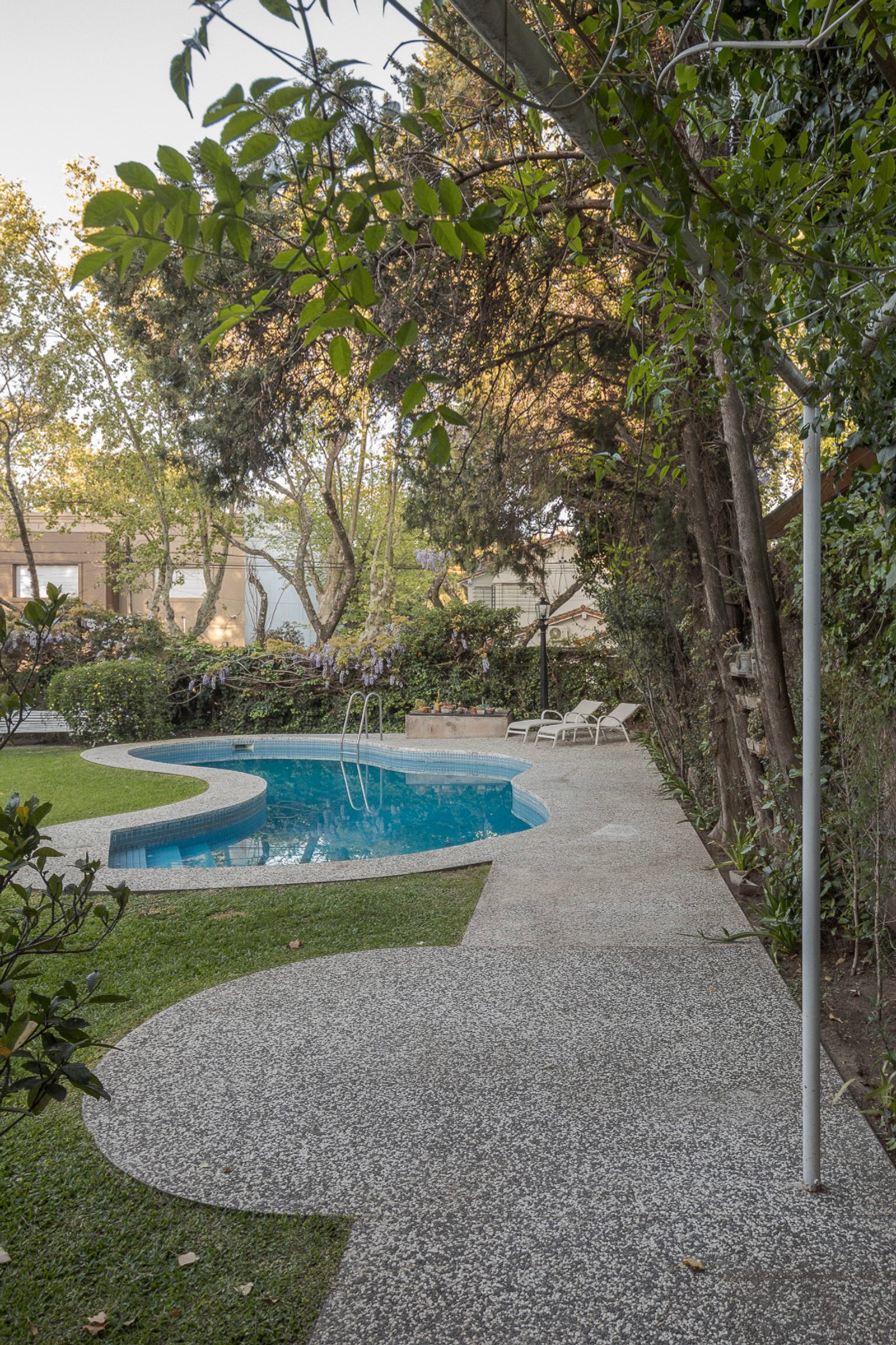 Piscina cercada por vegetação com deck de concreto — projeto Jardines Catamarca, por Estudio YME, em B1636 Olivos